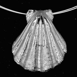 Handmade Silver Necklace Clam